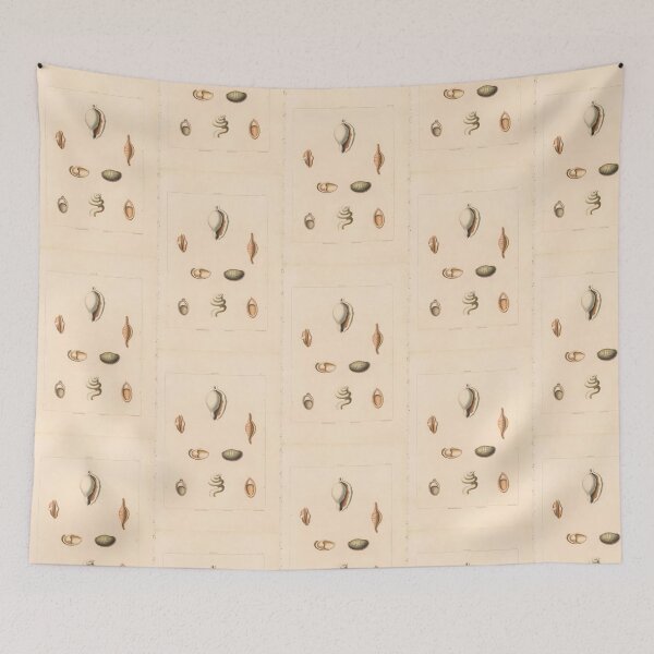 Item preview, Trochus Seashells Scientific Ocean Beach Illustration designed and sold by TeeARTHY.