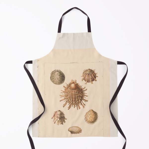 Item preview, Oliva Seashells Vintage Scientific Ocean Illustration designed and sold by TeeARTHY.