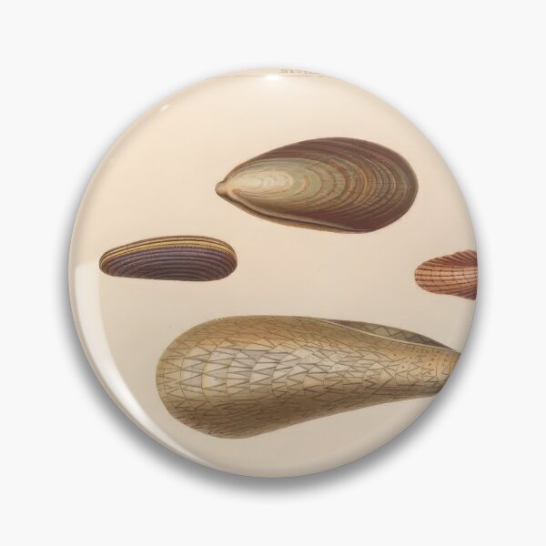 Item preview, Spondylus Seashells Scientific Marine Life Illustration designed and sold by TeeARTHY.