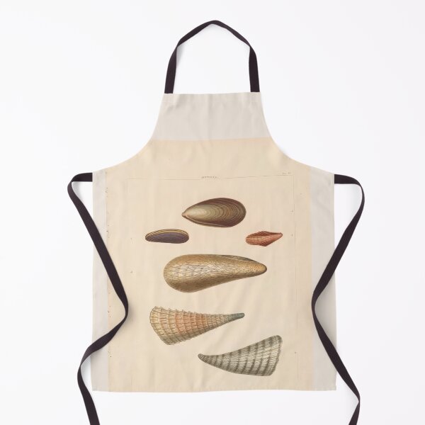 Item preview, Spondylus Seashells Scientific Marine Life Illustration designed and sold by TeeARTHY.