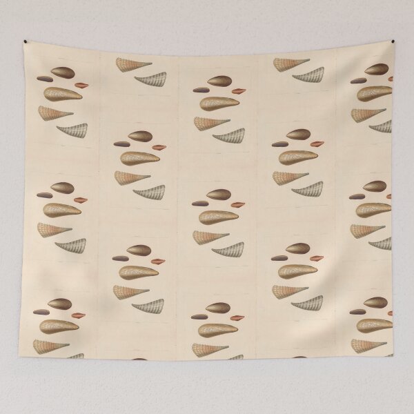 Item preview, Spondylus Seashells Scientific Marine Life Illustration designed and sold by TeeARTHY.
