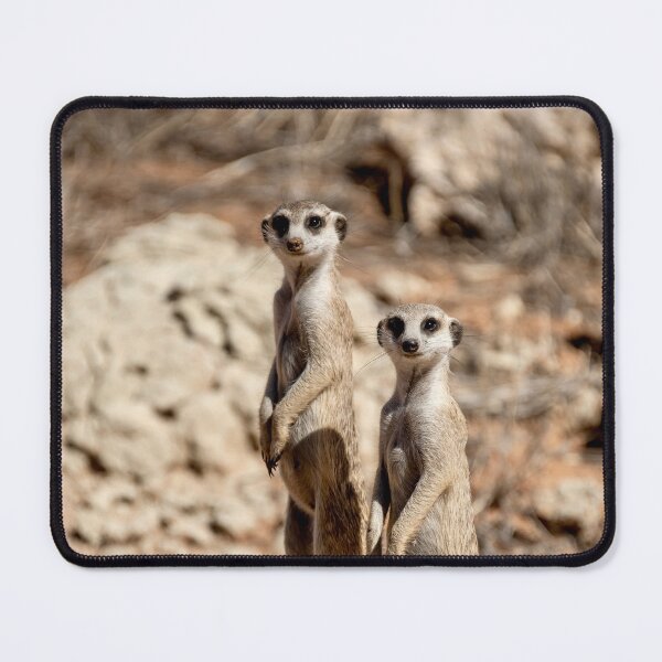 Item preview, Two Meerkats Standing Guard On A Desert Rock designed and sold by DavideAntoniani.