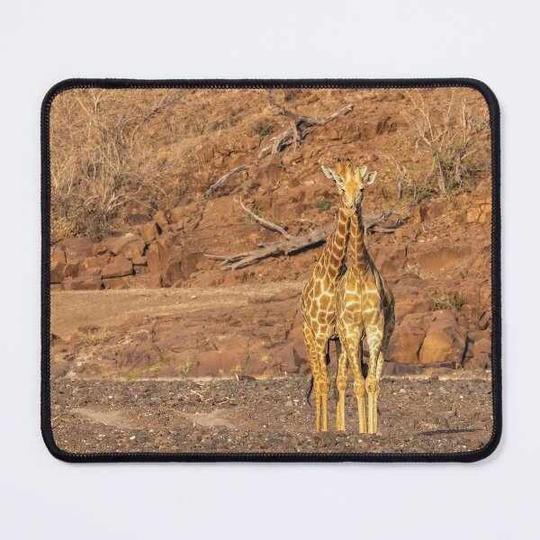 Item preview, Peek-A-Boo Giraffes designed and sold by Kay Brewer.