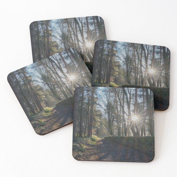 Item preview, Golden Hour Magic: Woodland Sunbeam Path designed and sold by Greysline.