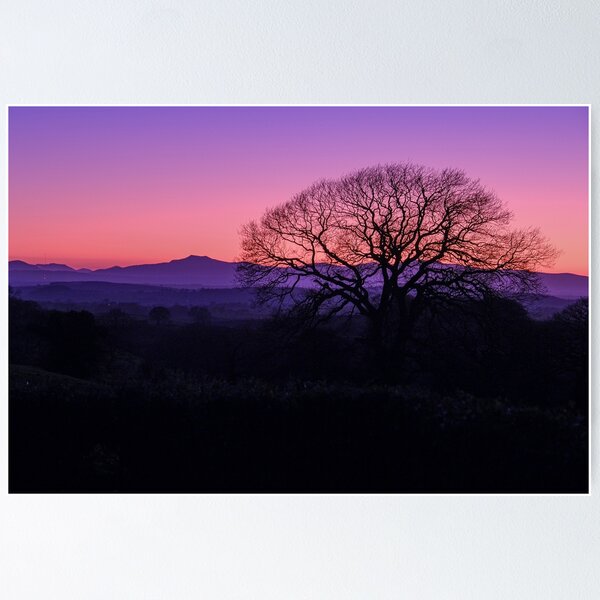 Item preview, Dramatic Purple and Pink Winter Sunset Silhouette designed and sold by Greysline.