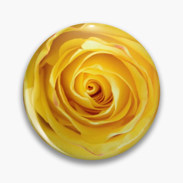 Item preview, Yellow rose with a red tinge – Perfect bloom from above / Swiss Artwork Photography designed and sold by Raphael Wolf.