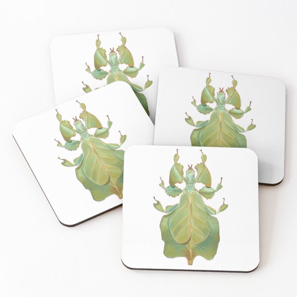Item preview, Leaf Bug Illustration designed and sold by Mugiiart.