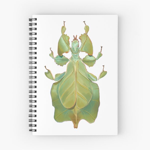 Item preview, Leaf Bug Illustration designed and sold by Mugiiart.