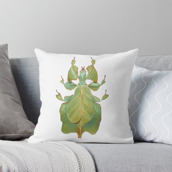 Item preview, Leaf Bug Illustration designed and sold by Mugiiart.