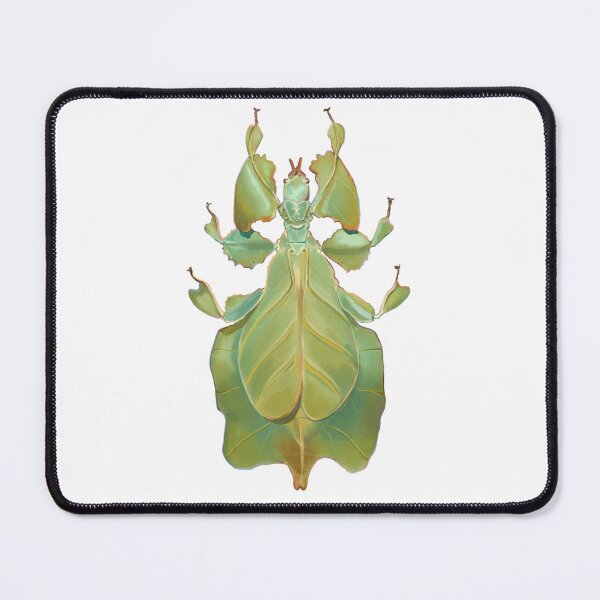 Item preview, Leaf Bug Illustration designed and sold by Mugiiart.