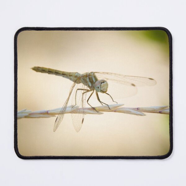 Item preview, Dragonfly Resting designed and sold by Jeffrey Ralph.