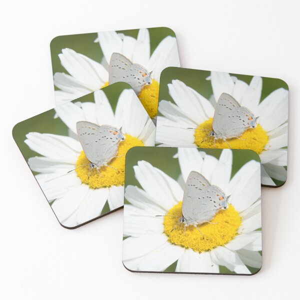 Item preview, Butterfly Macro designed and sold by Jeffrey Ralph.