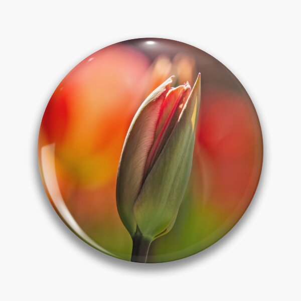 Item preview, Tulip bud highlighted against floral bokeh.   designed and sold by DaveBassett.