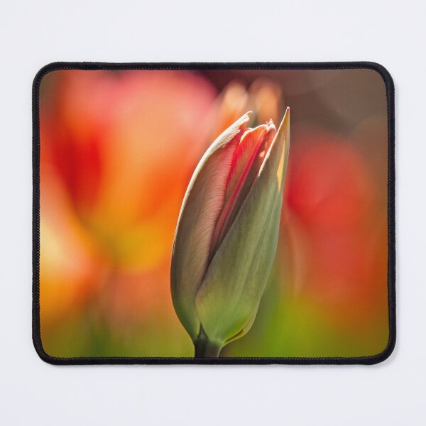 Item preview, Tulip bud highlighted against floral bokeh.   designed and sold by DaveBassett.