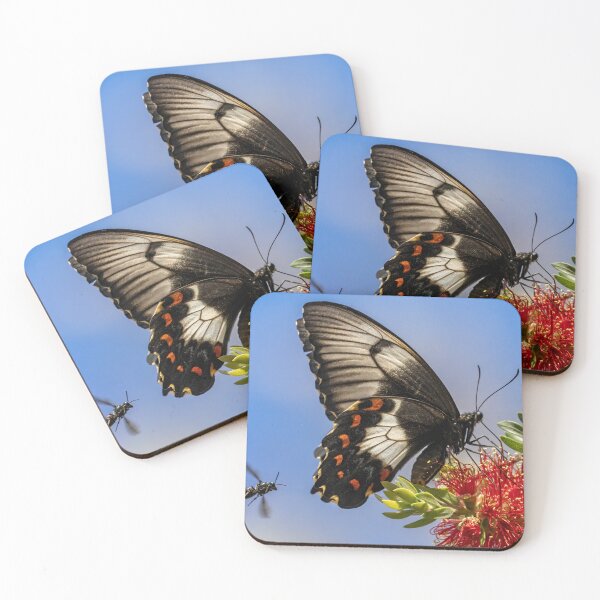 Item preview, Orchard swallowtail butterfly and friend.  designed and sold by DaveBassett.