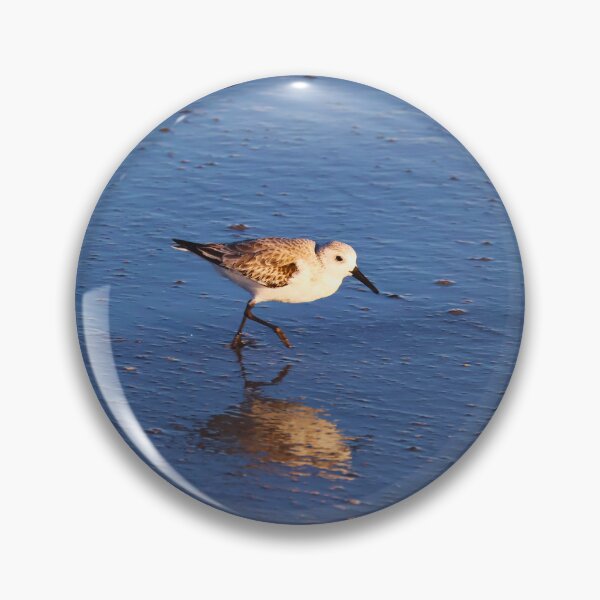 Item preview, Sandpiper Strolls Along Seashore designed and sold by Phakade's Photos.