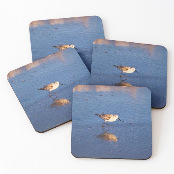 Item preview, Sandpiper Strolls Along Seashore designed and sold by Phakade's Photos.