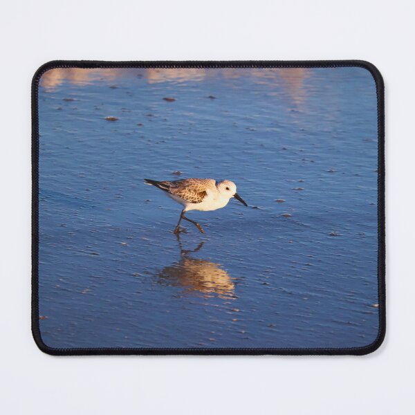 Item preview, Sandpiper Strolls Along Seashore designed and sold by Phakade's Photos.