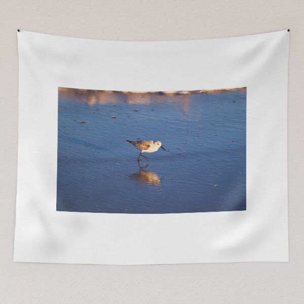 Item preview, Sandpiper Strolls Along Seashore designed and sold by Phakade's Photos.