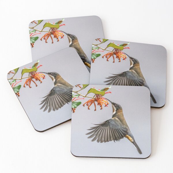 Item preview, Eastern Spinebill - fake hummingbird.  designed and sold by DaveBassett.