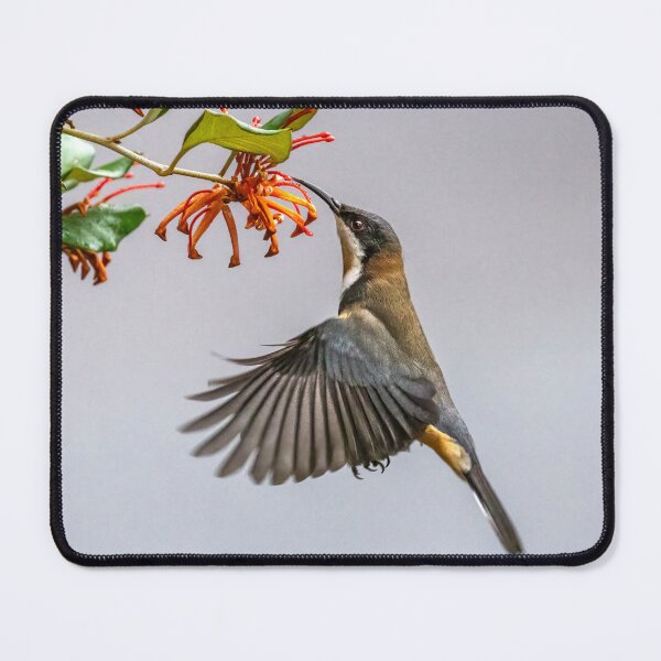 Item preview, Eastern Spinebill - fake hummingbird.  designed and sold by DaveBassett.