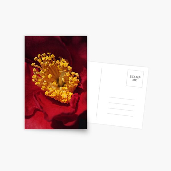 Item preview, Stamens of Red Camellia designed and sold by Bev Pascoe.