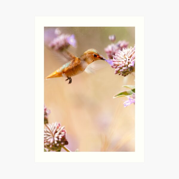 Golden Moment Art Print