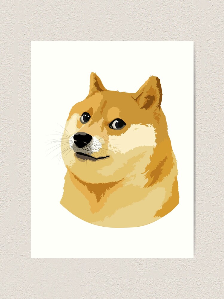 Arbittmax Bitcoin Doge