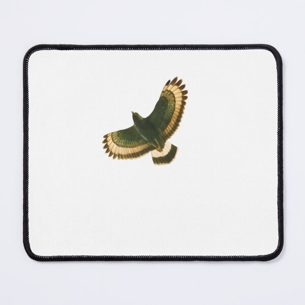 Item preview, Mountain Serpent-eagle (Spilornis kinabaluensis) designed and sold by HOMETOWN86.