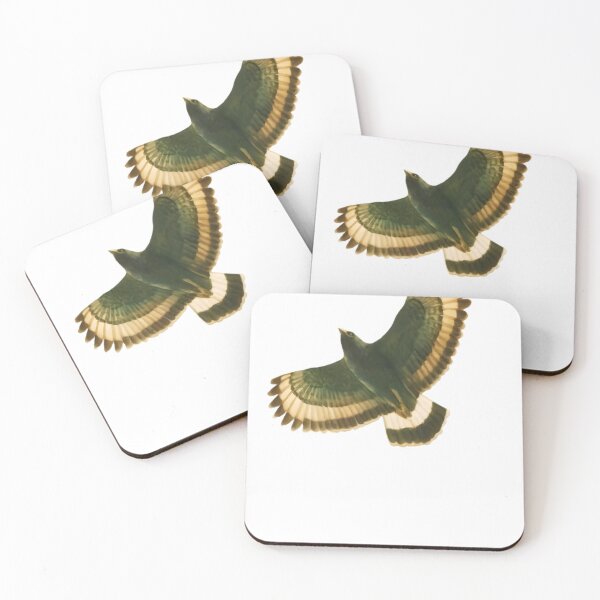 Item preview, Mountain Serpent-eagle (Spilornis kinabaluensis) designed and sold by HOMETOWN86.