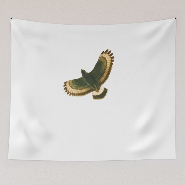 Item preview, Mountain Serpent-eagle (Spilornis kinabaluensis) designed and sold by HOMETOWN86.