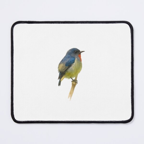 Item preview, Black-sided Flowerpecker (Dicaeum monticolum) designed and sold by HOMETOWN86.