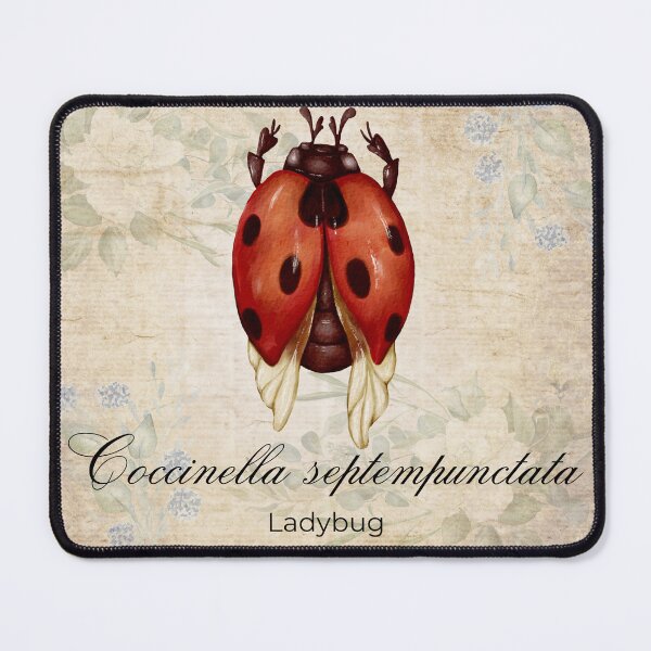 Item preview, Ladybug Vintage Art & Science designed and sold by Biofilia.