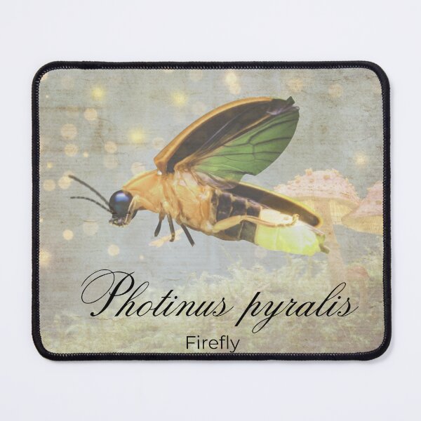 Item preview, Firefly Vintage Art & Science designed and sold by Biofilia.