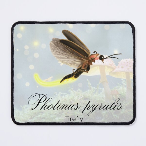 Item preview, Flying Firefly Vintage Art & Science designed and sold by Biofilia.
