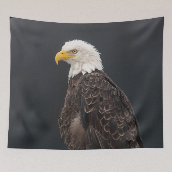 Item preview, Bald Eagle designed and sold by GivernyKate.