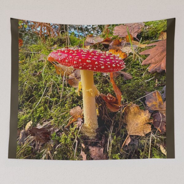 Item preview, Fly Agaric Toadstool designed and sold by Alisonchambers2.
