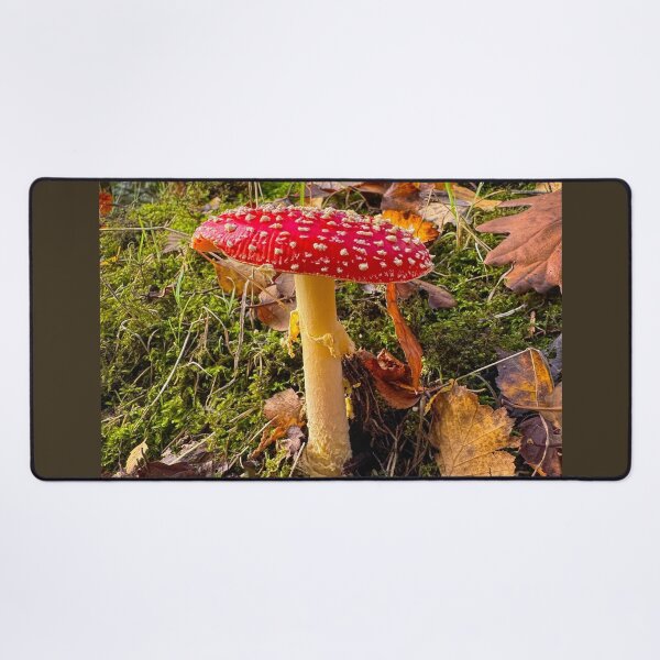 Item preview, Fly Agaric Toadstool designed and sold by Alisonchambers2.