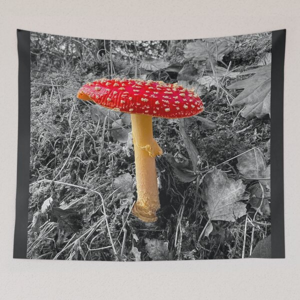 Item preview, Fly Agaric Toadstool designed and sold by Alisonchambers2.