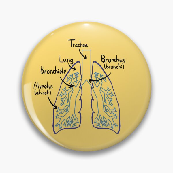 Item preview, Lung Anatomy Medical Diagram designed and sold by chowlet.