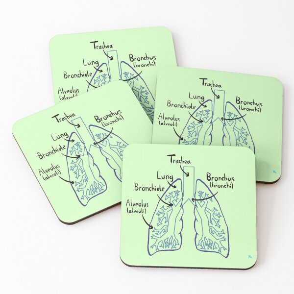 Item preview, Lung Anatomy Medical Diagram designed and sold by chowlet.