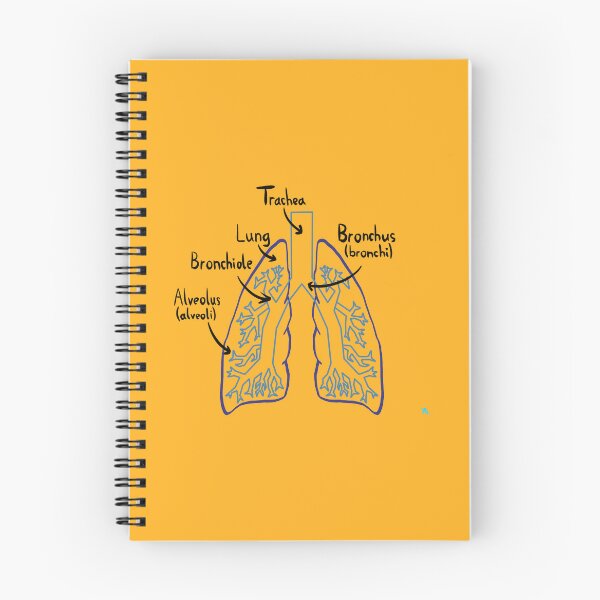 Item preview, Lung Anatomy Medical Diagram designed and sold by chowlet.