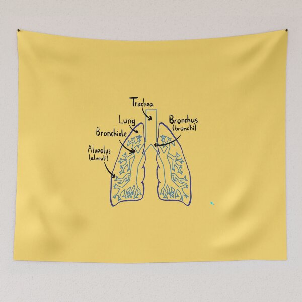 Item preview, Lung Anatomy Medical Diagram designed and sold by chowlet.