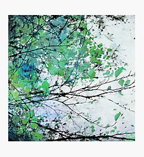 Autumn 5 Green Photographic Print