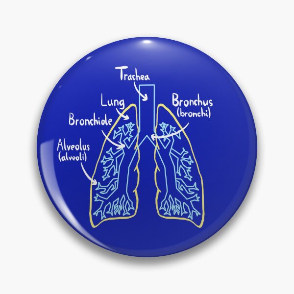 Item preview, Lung Anatomy Medical Diagram Light designed and sold by chowlet.
