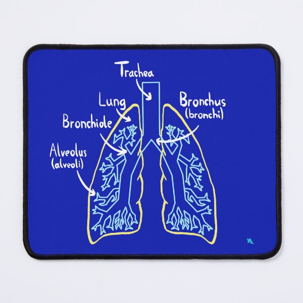 Item preview, Lung Anatomy Medical Diagram Light designed and sold by chowlet.