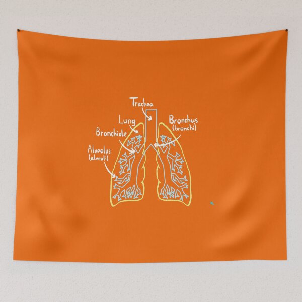 Item preview, Lung Anatomy Medical Diagram Light designed and sold by chowlet.