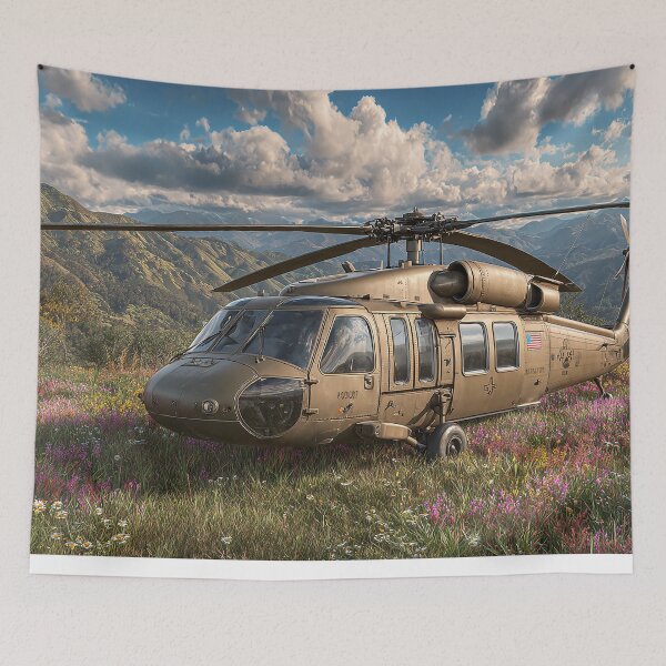 Item preview, Combat Black Hawk Parked at the Valley Below in Cold Weather designed and sold by Skyframe Aviation.