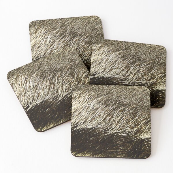 Item preview, Wild boar bristles - close-up / Swiss Artwork Photography designed and sold by Raphael Wolf.