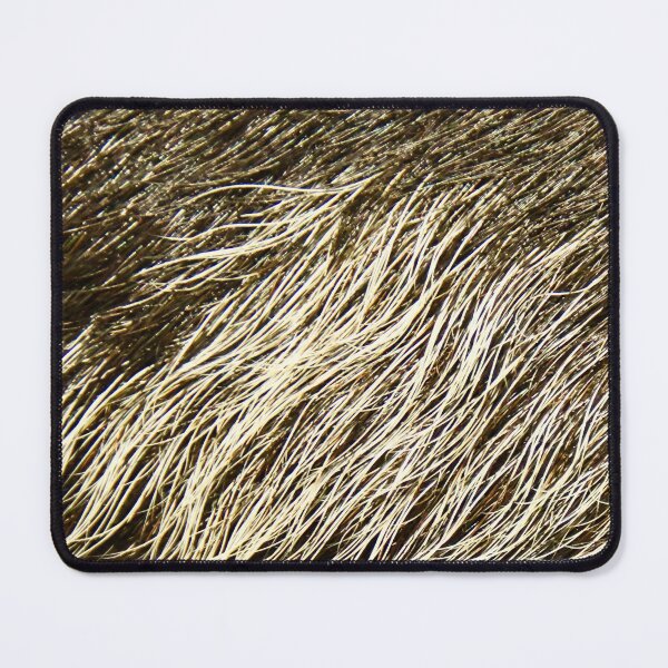 Item preview, Wild boar bristles - close-up / Swiss Artwork Photography designed and sold by Raphael Wolf.